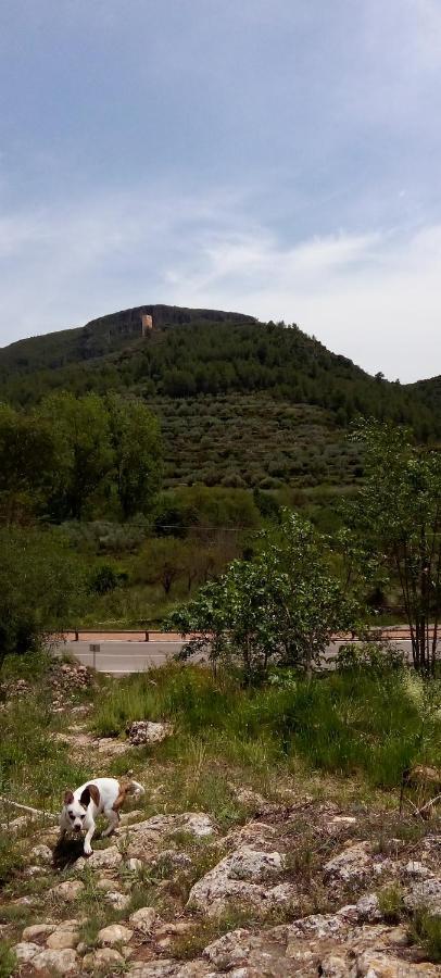 La Viajera Espadan Algimia de Almonacid Εξωτερικό φωτογραφία
